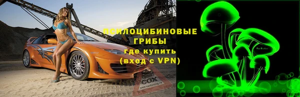 твердый Алексин