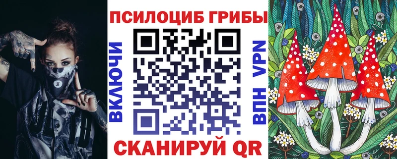 Псилоцибиновые грибы Cubensis  Купить  Магнитогорск 